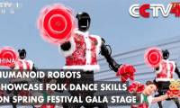 Unique performance of Chinese Robot dancing 'skillfully'