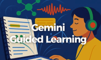 Use Gemini Learning mode to implement conceptual visualization.