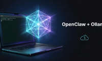 Using OpenClaw with Ollama: Building a local data analytics system.