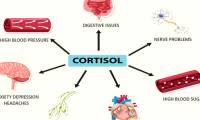 Warning signs of high cortisol and how to fix it