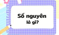 What are integers? What are positive integers? What are negative integers?