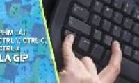 What are the keyboard shortcuts Ctrl C, Ctrl X, and Ctrl V in Word? What are their functions?