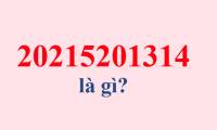 What is 5201314? What is 20215201314?