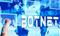 What is a botnet? How does a botnet work and what is its structure?