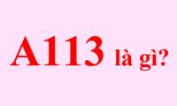 What is A113? Why does A113 appear in so many movies?