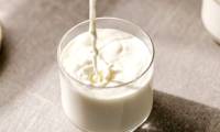 What is A2 protein milk?