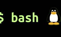What is Bash in Linux? What can it be used for?