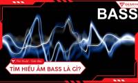 What is bass? Classification and role of bass in practice.