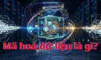 What is data encryption? Principles and practical applications.