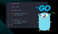 What is Golang? Things you need to know about Golang programming language