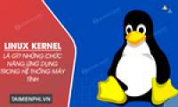 What is Linux Kernel? Application functions of Linux Kernel in computer systems