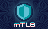 What is mTLS? Benefits of mTLS in Data Security