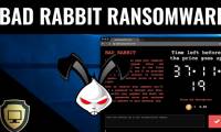 What is Ransomware Bad Rabbit? How to prevent this malware effectively