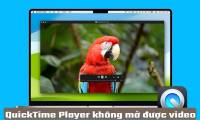 Why can't QuickTime Player open videos? Find out now