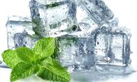 Why does mint give a cooling sensation? Scientists reveal the mechanism behind it.