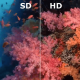 Photo of 3 tips to improve low-resolution photo quality - using Adobe Photoshop software