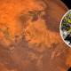Photo of China discovers 'super-survival' moss that can withstand weather conditions 'like on Mars'