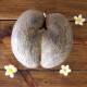 Coco de Mer, the world's largest and most expensive coconut