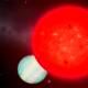 Giant planet discovered orbiting a tiny star
