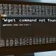 Fix 'wget: command not found' error in Linux