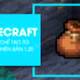 How to craft a Bag in Minecraft 1.20 is extremely simple.