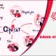 How to create a Lotus account, a Vietnamese social network.