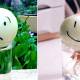 How to grow onions in a glass of water is both decorative and helps reduce stress