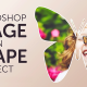 Photo of How to Insert a Photo into a Shape in Photoshop