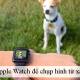 How to use Apple Watch to take photos remotely on iPhone