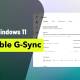 How to enable G-Sync on Windows 11