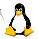Intel officially 'closes' Clear Linux OS