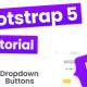 Lesson 18: Creating a Dropdown Menu in Bootstrap 5