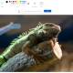 Photo of Microsoft Paint gets Generative AI tools