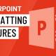 PowerPoint 2016: Image Formatting in PowerPoint