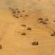 Photo of See how China builds highways across deserts despite sandstorms
