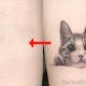 Photo of Tattoo transplant app - 5 Apps to combine tattoos into standard photos