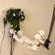 The machine system helps bonsai trees control a robot arm holding a knife