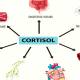 Warning signs of high cortisol and how to fix it