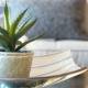 Ways Houseplants Can Improve Your Quality of Life