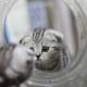 Photo of What color is a mirror? Interesting facts about mirrors that not everyone knows