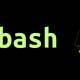 Photo of What is Bash in Linux? What can it be used for?