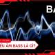What is bass? Classification and role of bass in practice.