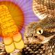Photo of What is in a rattlesnake's tail that makes a sound?