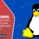 Photo of What is Linux Kernel? Application functions of Linux Kernel in computer systems