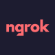 What is NGROK? Detailed instructions for use