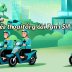 What is the Green SM Hotline number? What is the Green SM switchboard phone number?